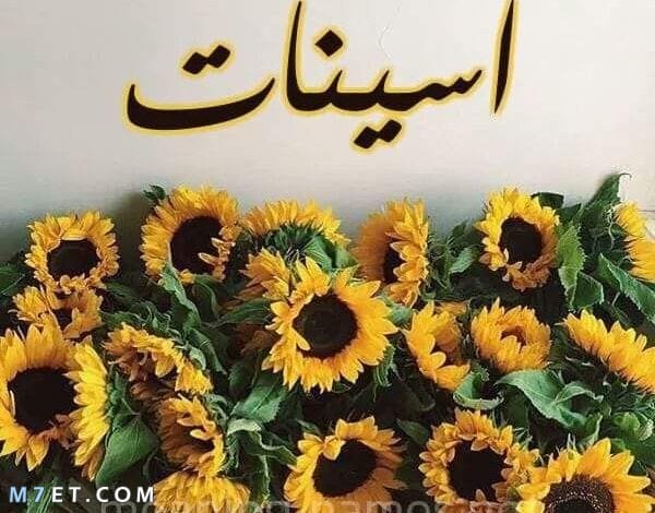 ما هو معنى اسم اسينات