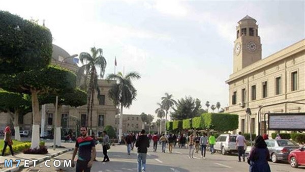 أفضل جامعات 10 في مصر