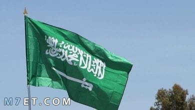 Photo of مشاريع ناجحة في الاقتصاد السعودي