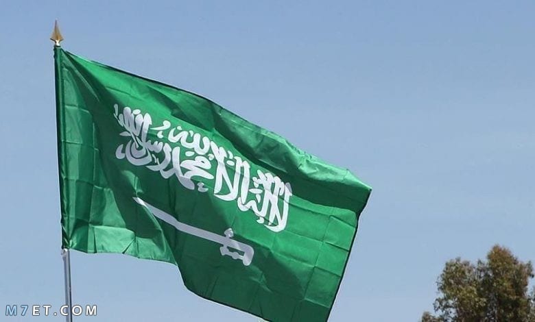 مشاريع ناجحة في الاقتصاد السعودي