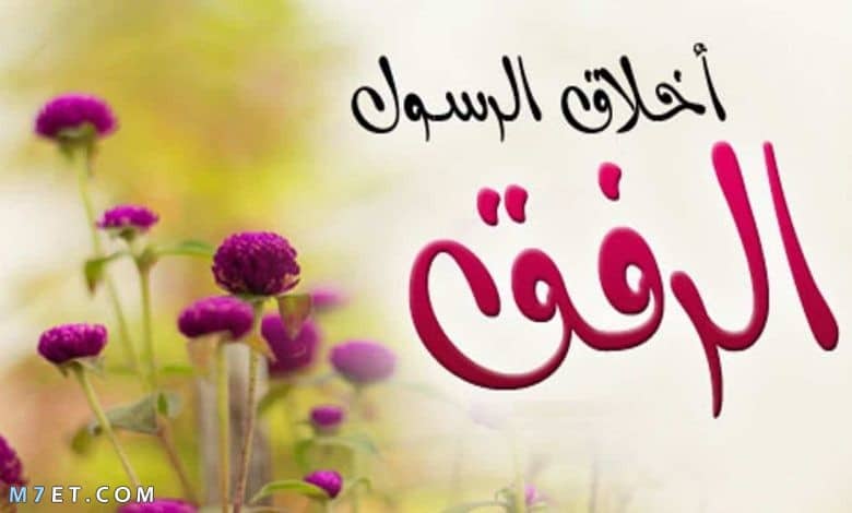 عبارات عن الرفق