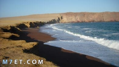 Photo of كيفية تصفية ماء البحر بالطرق الحديثة