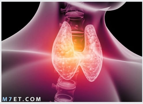 أعراض الغدة الدرقية النشطة