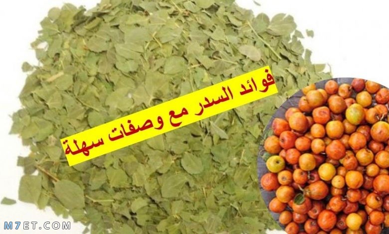 فوائد السدر للشعر