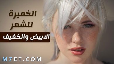 Photo of أهم فوائد الخميرة للشعر | اهم 5 ماسكات مفيدة للشعر