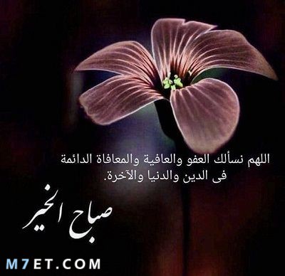 رسائل صباحية للواتس اب