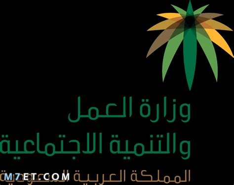 الاستعلام عن نطاق المؤسسة