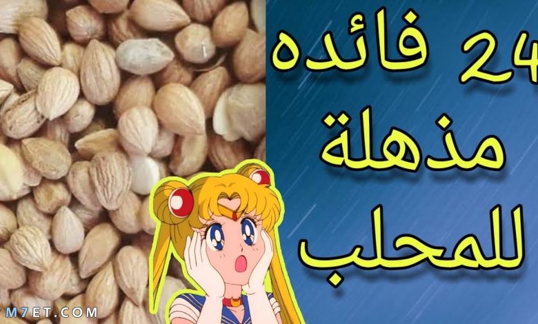 فوائد المحلب للاطفال