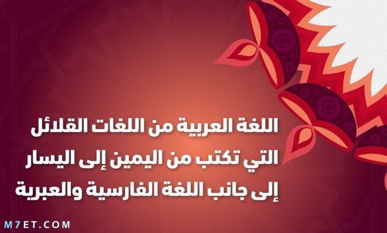 معلومات عن اللغة العربية