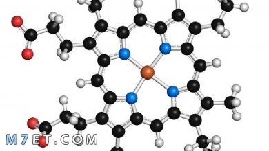 Photo of تعريف الانزيمات وتركيبها ووظائفها