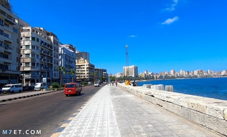 بحث عن مدينة الإسكندرية