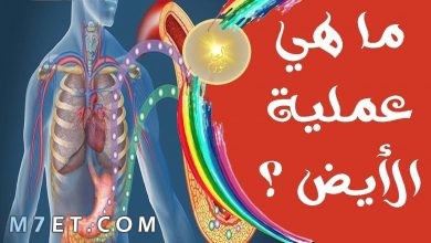 Photo of ما هو الأيض | 4 هرمونات مسؤولة عن عملية الأيض