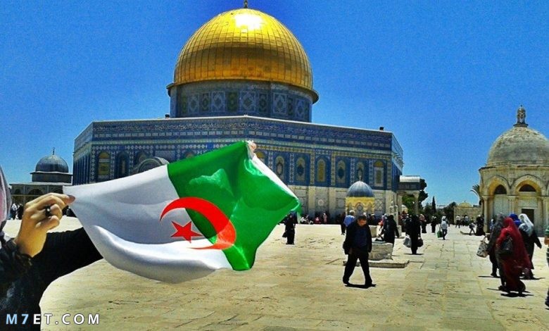 أكبر مدن فلسطين