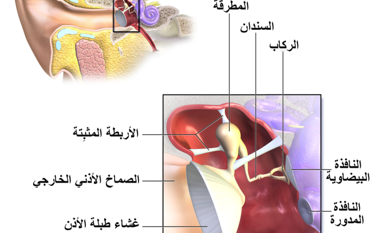 أين تقع قناة استاكيوس