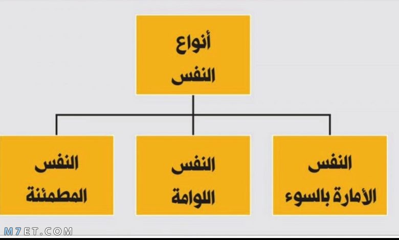 أنواع النفس