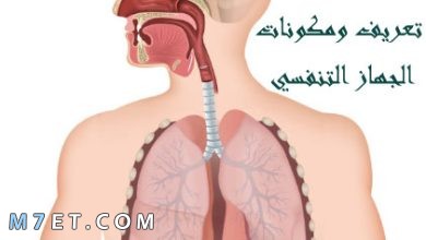 Photo of تعريف ومكونات الجهاز التنفسي