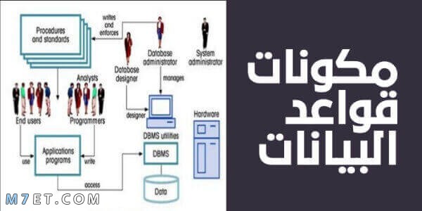  مكونات قاعدة البيانات