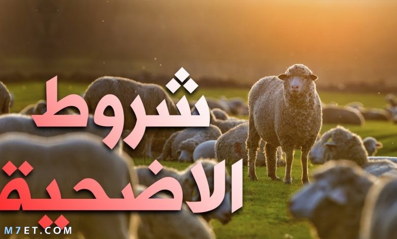 شروط الأضحية