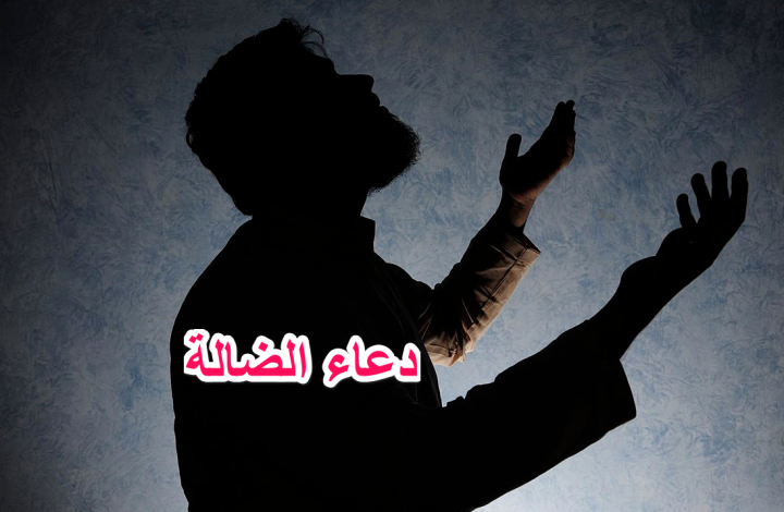 دعاء الضالة