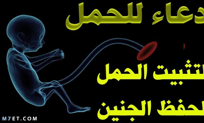 دعاء تثبيت الحمل