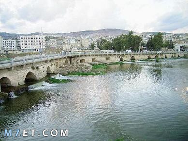 مدينة جسر الشغور