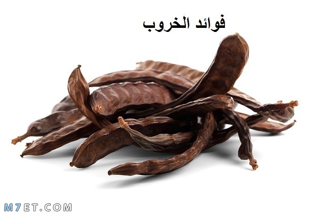 فوائد الخروب للعقم