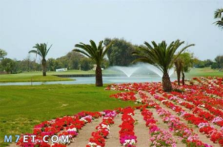 مدينة الزهور في المغرب