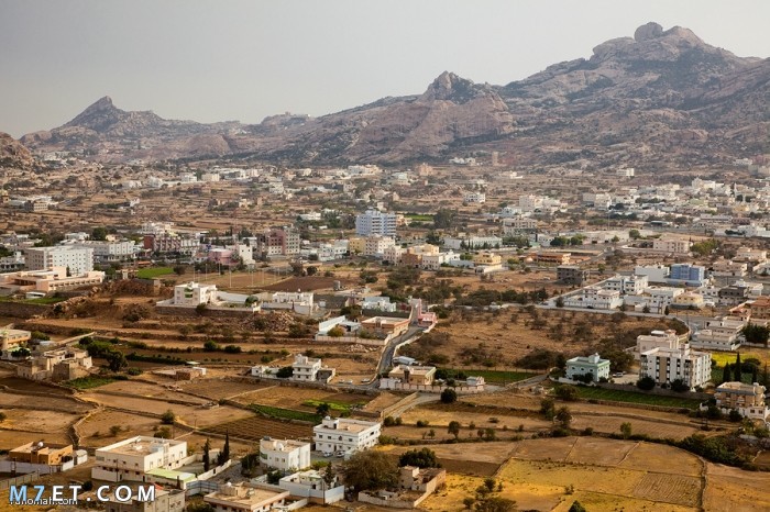 مدينة تنومة