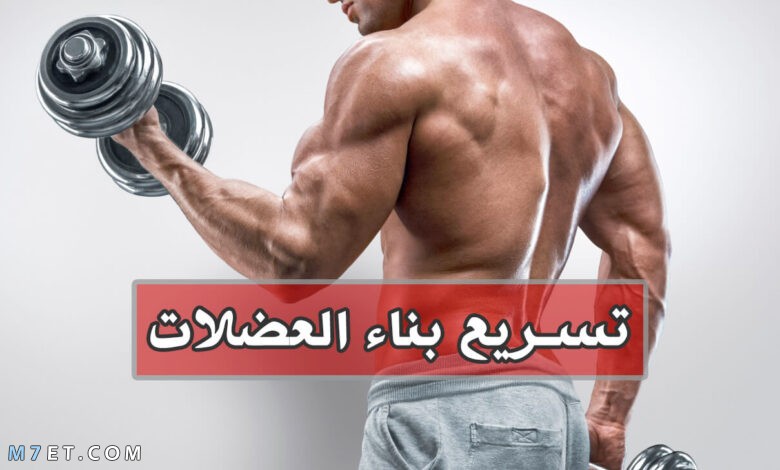 تمارين بناء العضلات