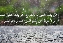 Photo of 100+ عبارات عن المطر أحلى كلمات عن المطر جديدة 2024