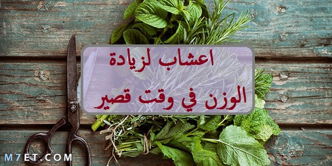 اعشاب لزيادة الوزن