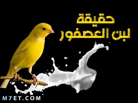 لبن العصفور