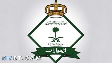 Photo of رسوم المرافقين في السعودية لعام 2024