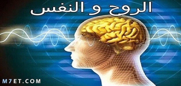 الفرق بين النفس والروح