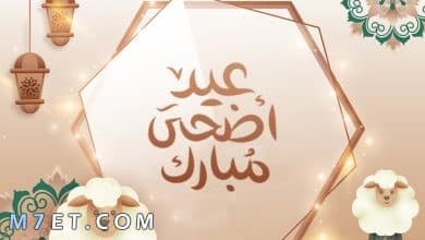 Photo of معايدات عيد الأضحى للحبيب جديدة 2025