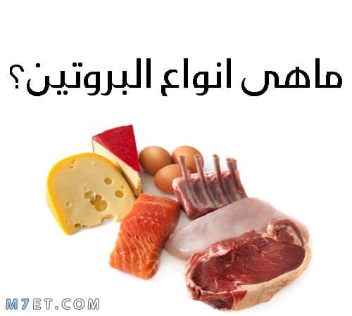 أنواع البروتينات الطبيعية