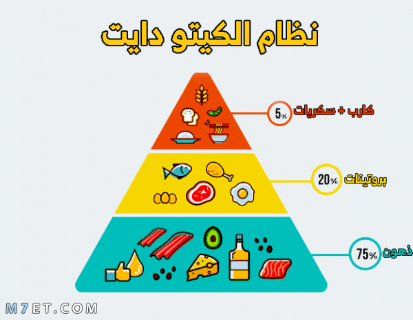 تجربتي المذهلة مع الكيتو دايت