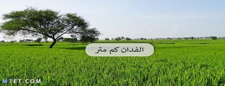 فدان كم متر