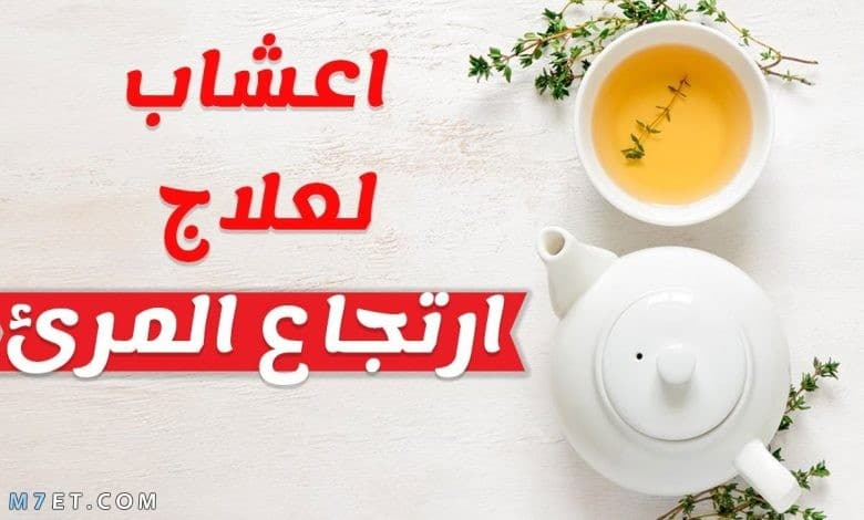 مشروبات لعلاج ارتجاع المرئ