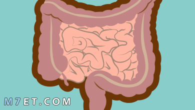 Photo of العلاقة ما بين البواسير والقولون العصبي