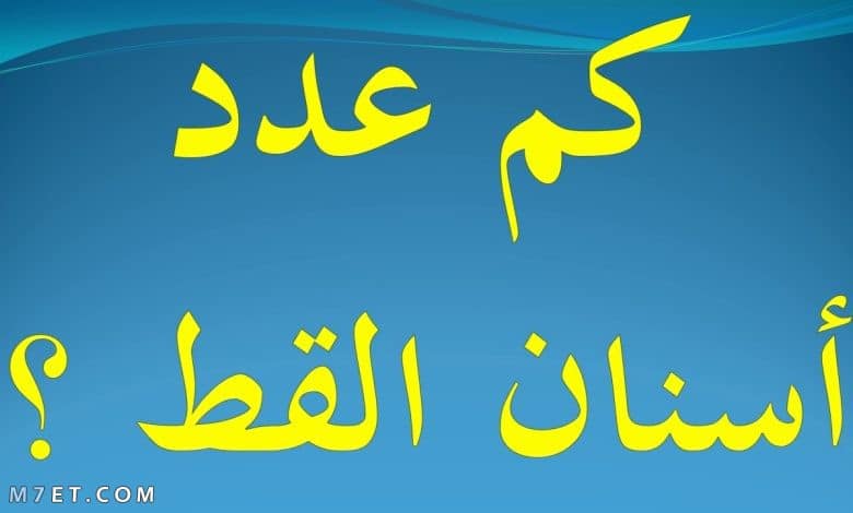 كم عدد أسنان القط