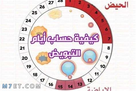 كيف اعرف أيام التبويض انتهت