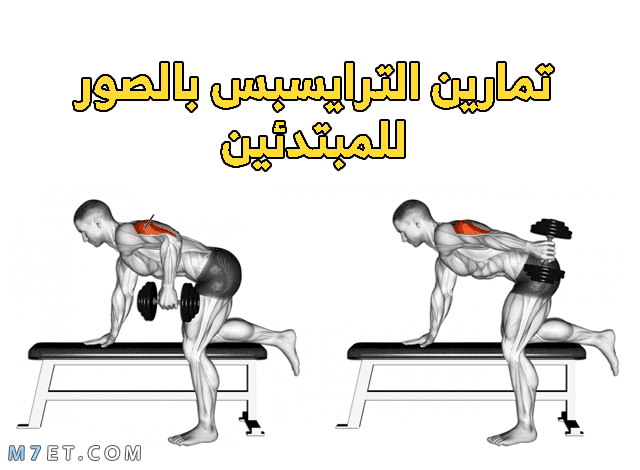 تمارين الترايبسيس