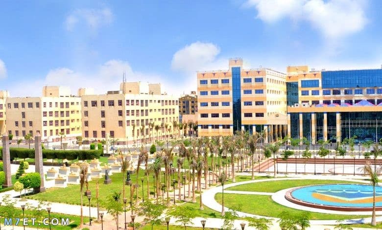 جامعات مصر الخاصة