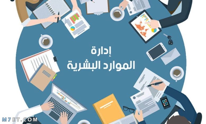 كيف أعرف مستحقاتي في الموارد البشرية