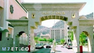 Photo of شروط القبول في كلية التمريض جامعة أم القرى 2024