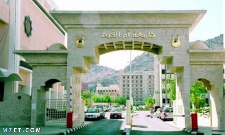 شروط القبول في كلية التمريض جامعة أم القرى