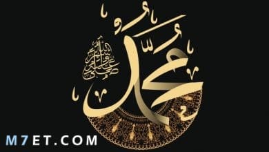 Photo of تهنئة المولد النبوي