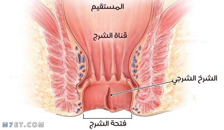 أفضل مرهم لعلاج الشرخ