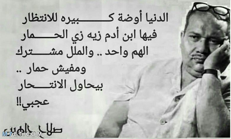 شعر صلاح جاهين عن الدنيا